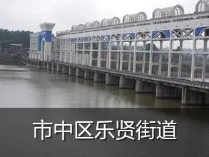 市中区乐贤街道