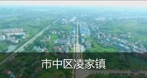 市中区凌家镇