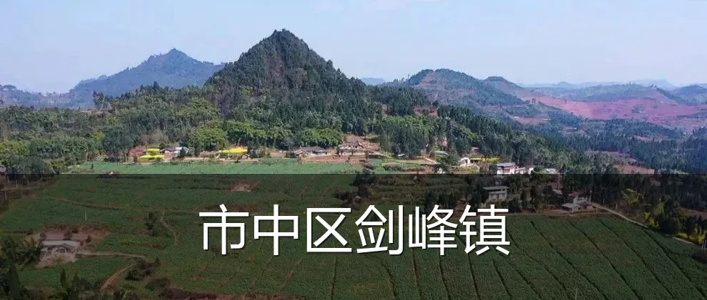 市中区剑峰镇