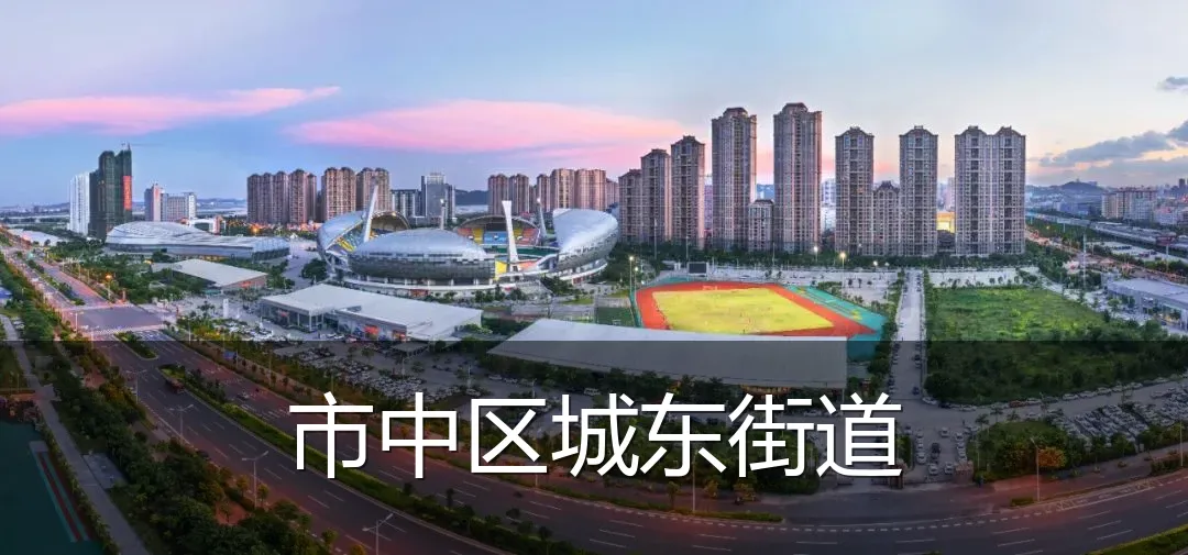 市中区城东街道