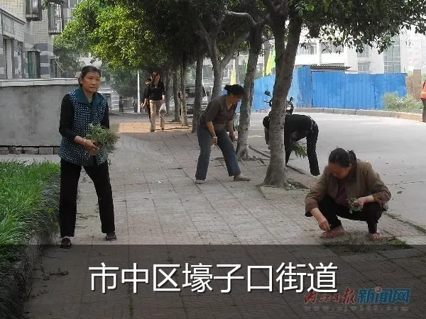 市中区壕子口街道