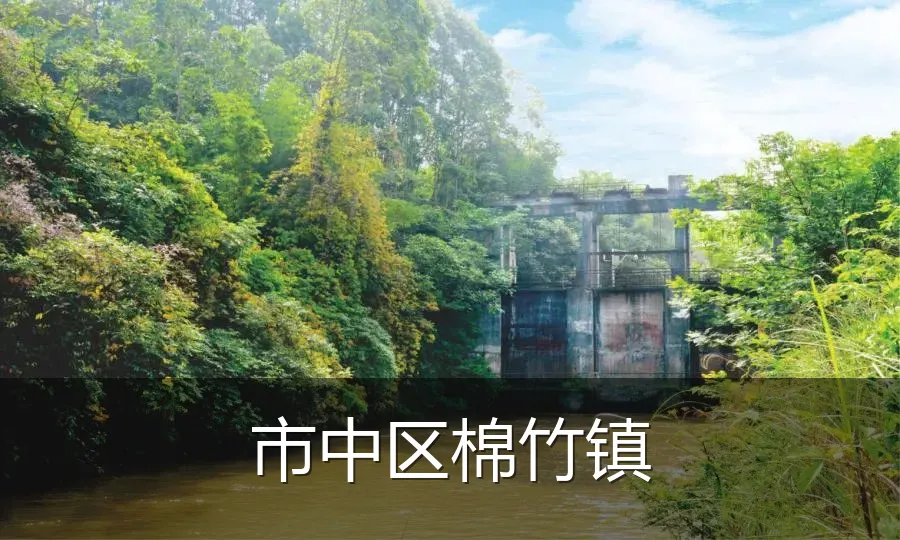 市中区棉竹镇