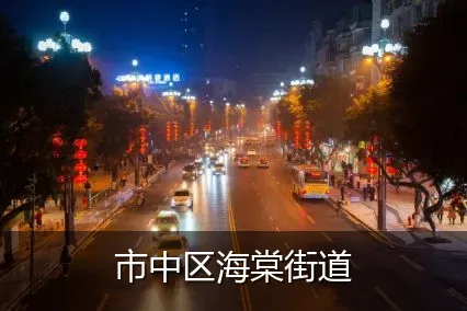 市中区海棠街道