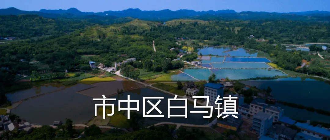 市中区白马镇
