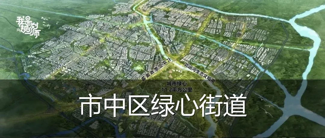 市中区绿心街道