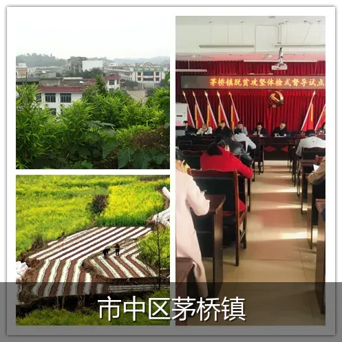 市中区茅桥镇