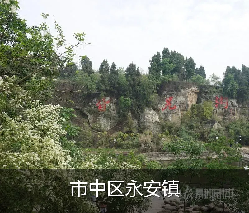 市中区永安镇