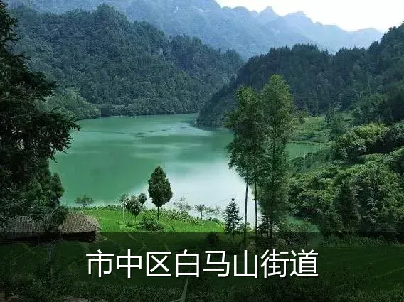 市中区白马山街道