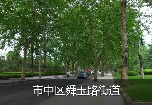市中区舜玉路街道