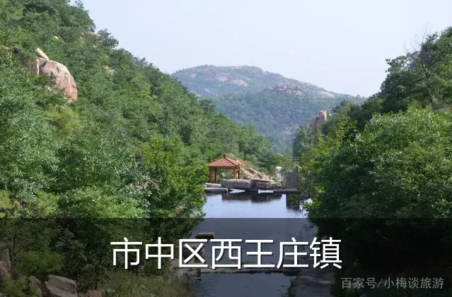 市中区西王庄镇