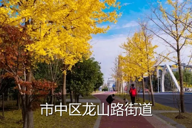 市中区龙山路街道